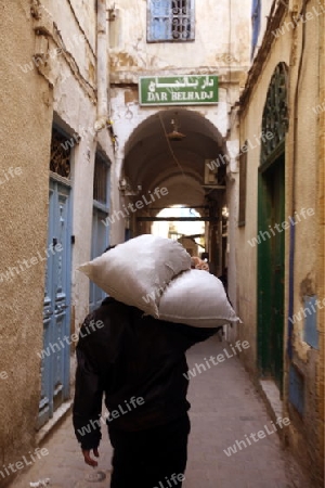 Afrika, Nordafrika, Tunesien, Tunis
Eine Gasse in der Medina mit dem Markt oder Souq in der Altstadt der Tunesischen Hauptstadt Tunis



