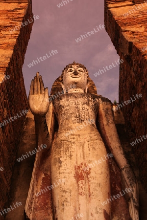 Eine stehende Buddha Figur  im Wat Mahathat Tempel in der Tempelanlage von Alt-Sukhothai in der Provinz Sukhothai im Norden von Thailand in Suedostasien.