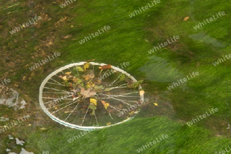 Fahrradreifen im Wasser
