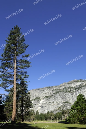 typische Landschaftsform im Yosemite Nationalpark, Kalifornien, USA