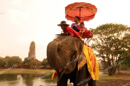 Ein Elephanten Taxi vor einem der vielen Tempel in der Tempelstadt Ayutthaya noerdlich von Bangkok in Thailand.