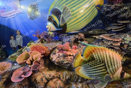Das Siam Ocean World Aquarium in der Hauptstadt Bangkok von Thailand in Suedostasien.
