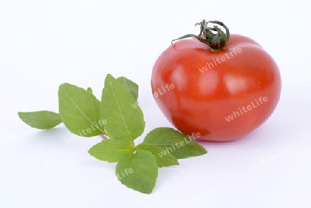 Basilikum (Ocimum basilicum), Tomate (Solanum lycopersicum)