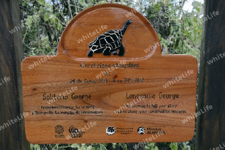 Schild und Todestafel des im Juni 2012 verstorbenen Lonesome George, letzte bekanntes Tier einer Riesenschildkroetenunterart (Geochelone elephantopus abingdoni), Darwin Station , Insel Santa Cruz, Galapagos , Unesco Welterbe, Ecuador, Suedamerika