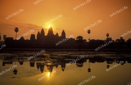 the angkor wat temple in Angkor at the town of siem riep in cambodia in southeastasia. 