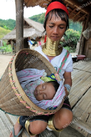 Eine Traditionell gekleidete Langhals Frau eines Paudang Stammes aus Burma lebt in einem Dorf noerdlich von Chiang Mai in Nord Thailand