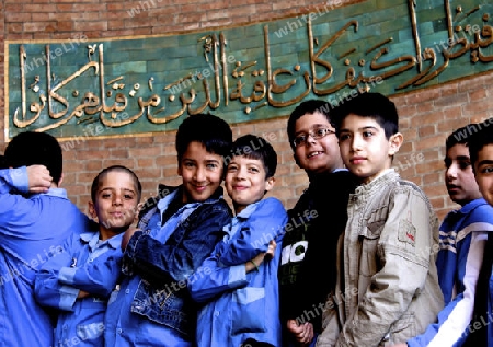 Persian Boys