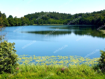 Idyllisch gelegener See umrahmt von Wiese und Wald