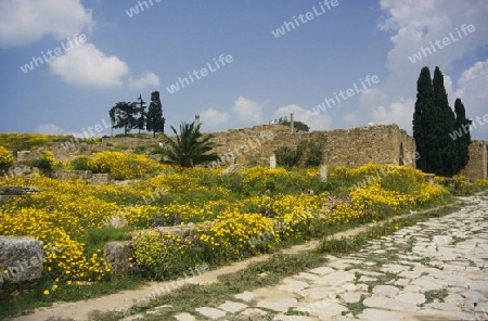 Karthago (Tunesien)