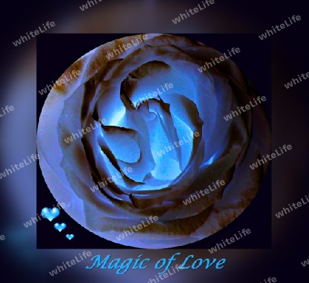 Magic of Love
