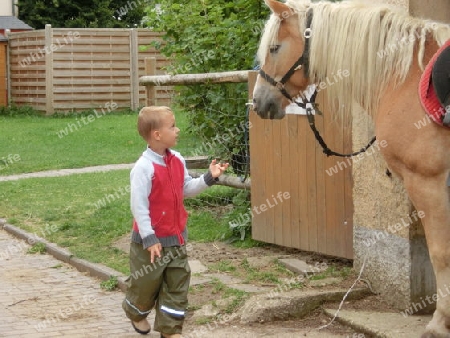 Junge mit Pferd