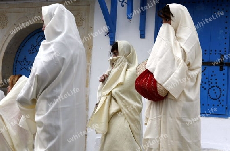 Afrika, Nordafrika, Tunesien, Tunis, Sidi Bou Said
Junge Frauen im traditionellen weissen Schleier in der Altstadt von Sidi Bou Said in der Daemmerung am Mittelmeer und noerdlich der Tunesischen Hauptstadt Tunis.






