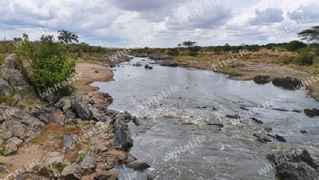 Kenia - Mara River