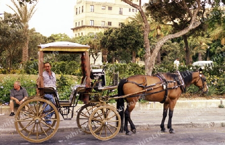 A Hosewagon in the Old Town of the city of Valletta on the Island of Malta in the Mediterranean Sea in Europe.
