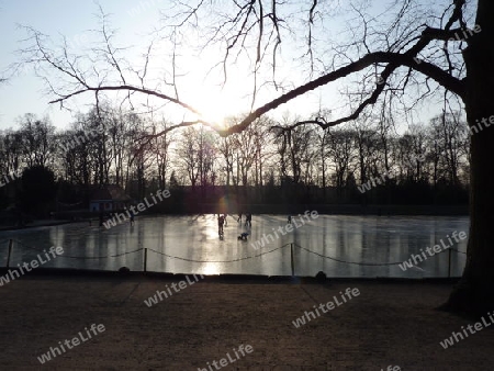 Zugefrorener Teich, Eis-Zeit (3)