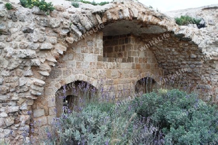 Historische Stadtmauer in Akkon, Israel