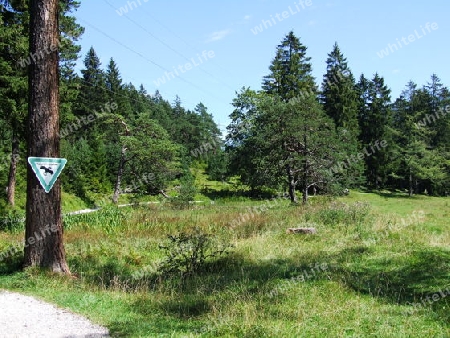 Naturschutzgebiet bei Garmisch-Partenkirchen