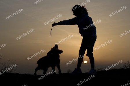 Spiel mit dem Hund in den Sonnenuntergang