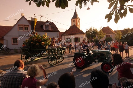 Das Winzerfest im Dorf Sasbach im Kaiserstuhl am Schwarzwald  im Sueden von Deutschland.