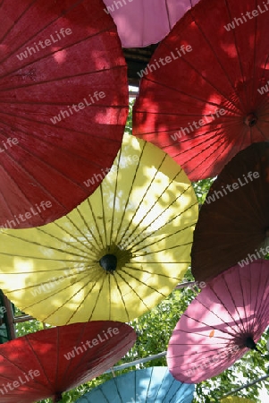 Traditionalle Schirme und Faecher aus Paier werden produziert in einer Papierschirm Fabrik in Chiang Mai im norden von Thailand in Suedostasien.