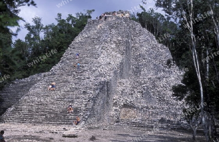 Die Pyramide der Maya Ruine von Coba im Staat Quintana Roo auf der Halbinsel Yuctan im sueden von Mexiko in Mittelamerika. 