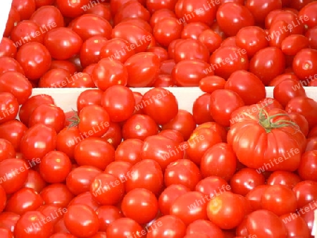 Tomaten Verkauf 1