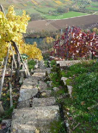 Weinanbau in Steillage  3