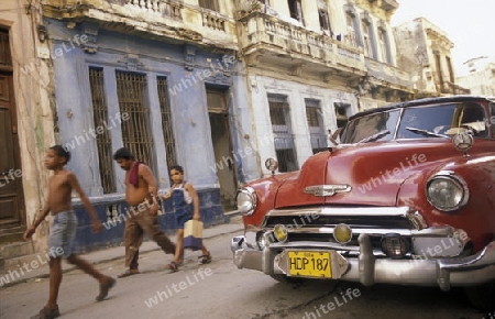 old cars in the old townl of the city of Havana on Cuba in the caribbean sea.