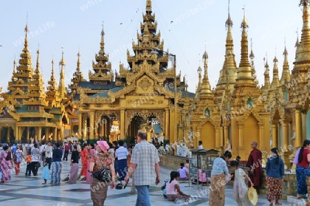 Myanmar, Yangon,Shwedagon Pagode