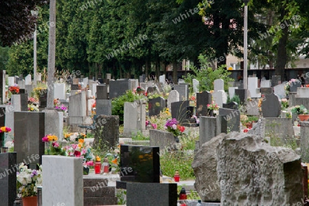 Nationalfriedhof Martin - Slowakei