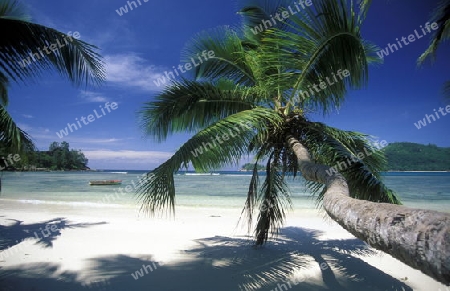 Ein Traumstrand auf der Insel Praslin der Inselgruppe Seychellen im Indischen Ozean in Afrika.