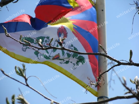 Tibetflagge und Aeste in Tirol