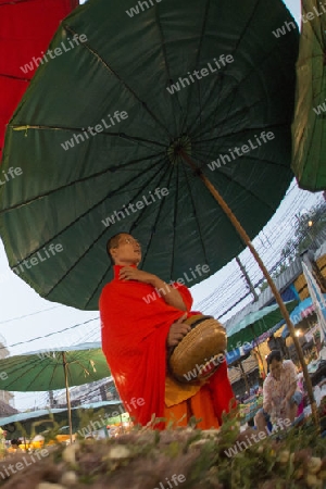 a monk at the morning Market in Nothaburi in the north of city of Bangkok in Thailand in Southeastasia.
