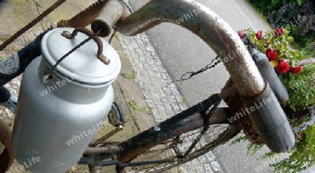 Altes rostiges Fahrrad mit Milchkanne  3
