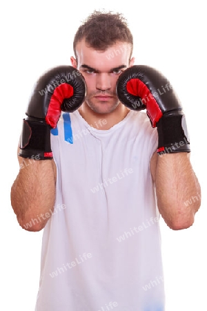 Aggressive Boxer mit den F?usten auf der Hut