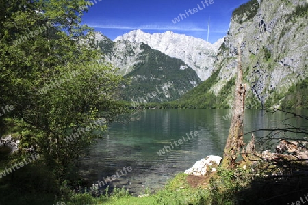 Obersee mit Watzmann- Ostwand