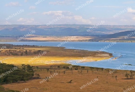 Kenia - Blick auf den Lake Nakuru