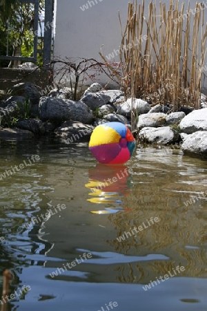 Wasserball auf einem Teich