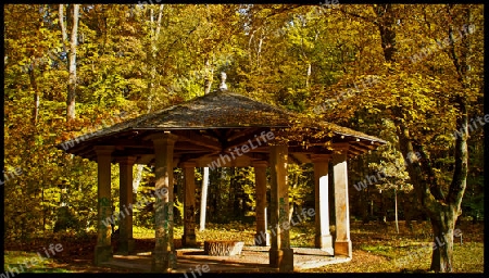 Herbstwald mit Pavilion 
