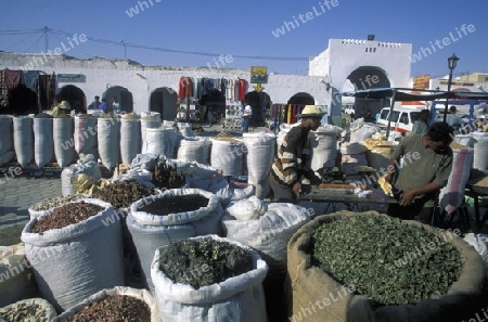Afrika, Tunesien, Douz
Der traditionelle Donnerstag Markt auf dem Dorfplatz in der Oase Douz im sueden von Tunesien. (URS FLUEELER)







