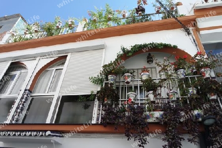 Mit Blumen dekoriertes Haus in Andalusien, Costa del Sol