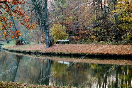 Flusslauf im Herbst