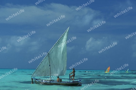 Asien, Indischer Ozean, Malediven,
Ein Traumstrand auf einer Ferieninsel der Inselgruppe Malediven im Indischen Ozean 

