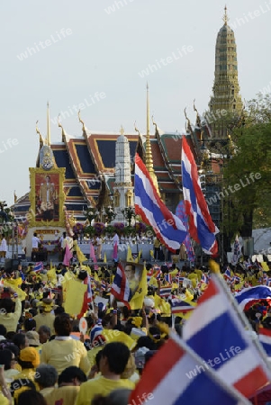 Tausende von Thailaender zelebrieren den Kroenungstag des Koenig Bhumibol auf dem Sanam Luang Park vor dem Wat Phra Kaew in der Stadt Bangkok in Thailand in Suedostasien.  