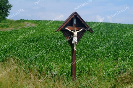 Holzkreuz im Feld