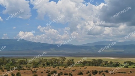Tansania - Im Ngorongro Krater