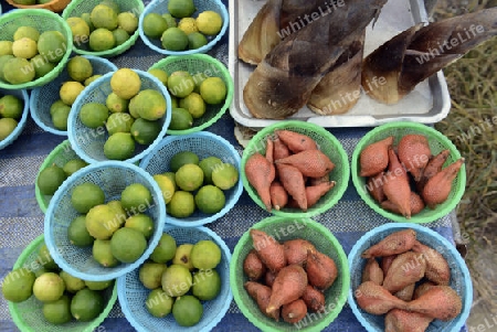 Exotische Fruechte und Zitronen auf einem Regional Markt auf der Insel Phuket im sueden von Thailand in Suedostasien.