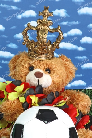 Teddyb?r mit Fussball und Krone mit Himmel als Hintergrund