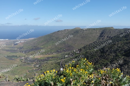 Berglandschaft mit Terrassenfeldern, Lanzarote