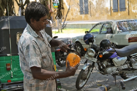 Verkauf von K?nigskokosnuss in Sri Lanka